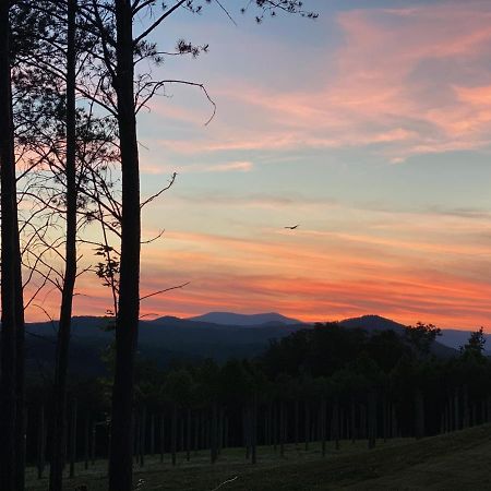 A Suite With A View + Wine Mount Airy Exteriör bild