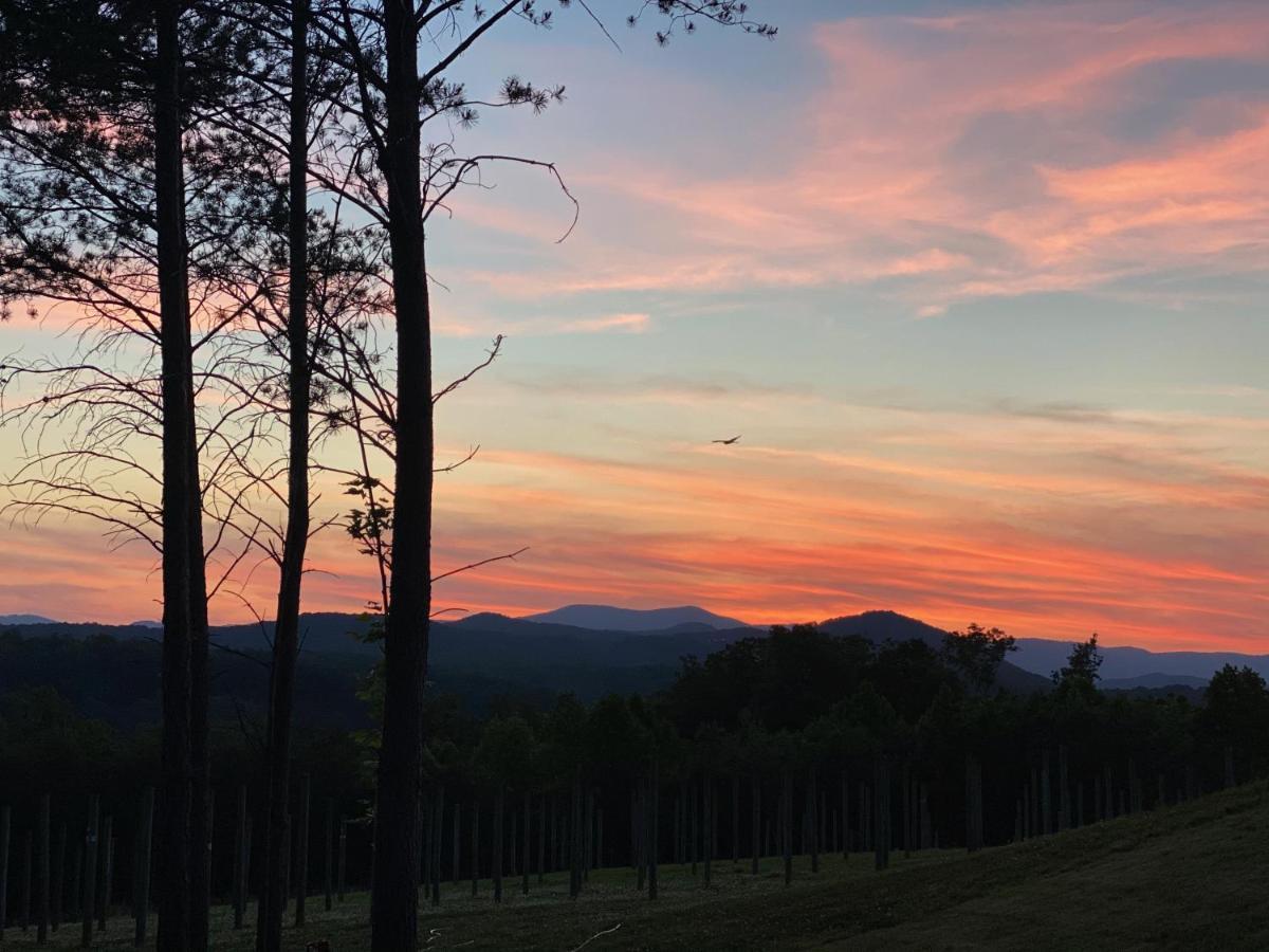A Suite With A View + Wine Mount Airy Exteriör bild